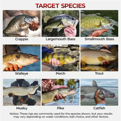 🐟264-delars fiskeutrustning – Professionellt set för sötvattensfiske – Inkluderar vattentät låda – Krokar och jigghuvuden av högsta kvalitet 🎣