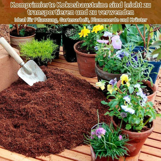 🔈🔈50% RABATT NU🥥Ekologisk kokosnöt för växter🌱