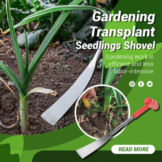 🍃Trädgårdsskötsel Transplantera plantor Spade