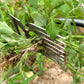⏳ Manual Weed Remover Tool för gräsmatta och trädgård