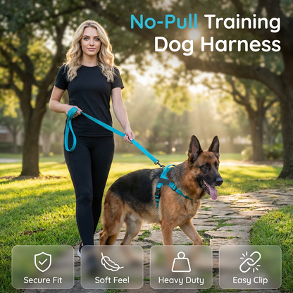 🔥49% OFF 🐶 🔥Populära husdjursprodukter—🦮Tjockt vadderad hundsele som är lätt att ta på och av (speciellt för promenader)