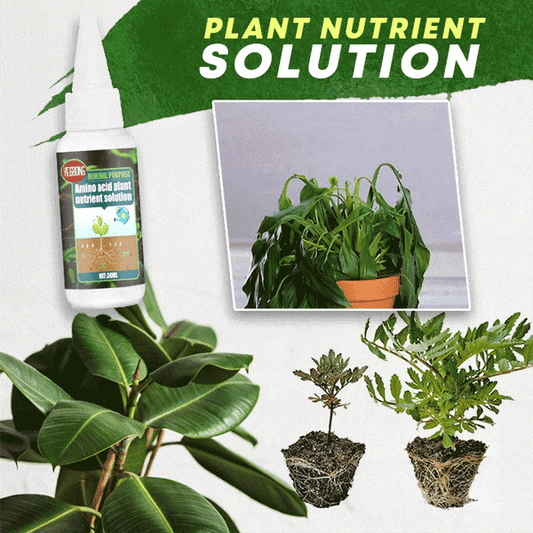 🔥Compre 2 e ganhe 1 grátis (3 unidades)🔥Solução nutritiva para plantas