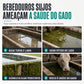 💧🐄✨ PASTILHAS PURIFICADORAS DE ÁGUA PARA GADO – PARA ÁGUA DE TANQUE E LAGOA ✨🐄💧