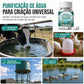 💧🐄✨ PASTILHAS PURIFICADORAS DE ÁGUA PARA GADO – PARA ÁGUA DE TANQUE E LAGOA ✨🐄💧