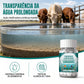 💧🐄✨ PASTILHAS PURIFICADORAS DE ÁGUA PARA GADO – PARA ÁGUA DE TANQUE E LAGOA ✨🐄💧