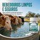 Pastilhas Purificadoras de Água para Gado para Água de Tanque e Lagoa