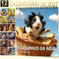 🐹 Adicione um toque adorável à sua parede – Calendário de Parede Adorable Guinea Pig