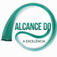 12 extensões de cabelo retas e coloridas com grampo