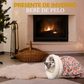 🐾 Cama Aconchegante para Gatos e Cães - Pelúcia e Lavável na Máquina, Perfeita para o Conforto e Calor do Seu Pet ✨